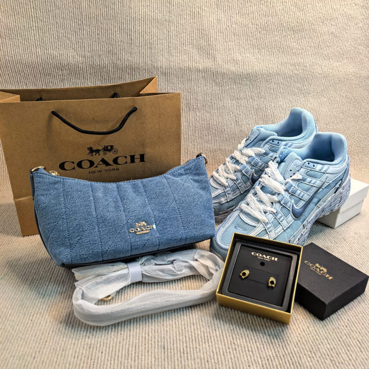 Blue Nike + Coach Purse Set