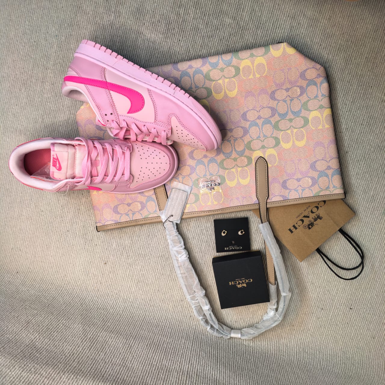 Nike Dunks + Large Coach Purse